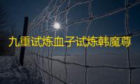 九重试炼血子试炼韩魔尊攻略